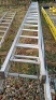 Double extendable ladder