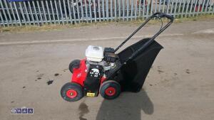 2019 CAMON LS42 petrol scarifier (s/n 64619) - 2