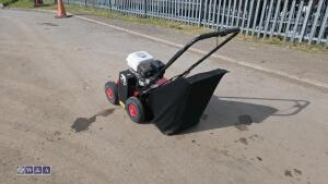 2019 CAMON LS42 petrol scarifier (s/n 64619) - 3