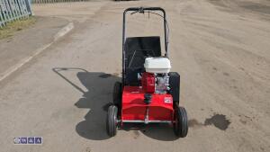 2019 CAMON LS42 petrol scarifier (s/n 64619) - 8