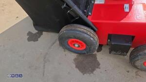 2019 CAMON LS42 petrol scarifier (s/n 64619) - 12