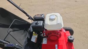 2019 CAMON LS42 petrol scarifier (s/n 64619) - 14