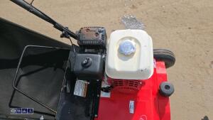 2019 CAMON LS42 petrol scarifier (s/n 64619) - 15