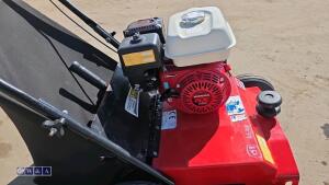 2019 CAMON LS42 petrol scarifier (s/n 64579) - 13