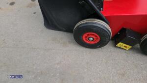 2019 CAMON LS42 petrol scarifier (s/n 64665) - 11