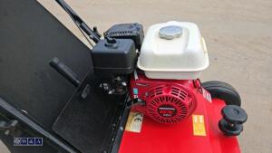 2019 CAMON LS42 petrol scarifier (s/n 64665) - 13