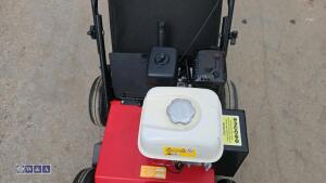 2019 CAMON LS42 petrol scarifier (s/n 64665) - 15