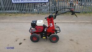 2019 CAMON TC07 petrol turf cutter - 2
