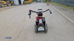 2019 CAMON TC07 petrol turf cutter - 4