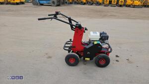 2019 CAMON TC07 petrol turf cutter - 6