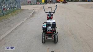 2019 CAMON TC07 petrol turf cutter - 8