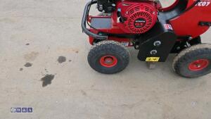 2019 CAMON TC07 petrol turf cutter - 9