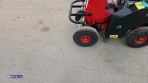 2019 CAMON TC07 petrol turf cutter - 11