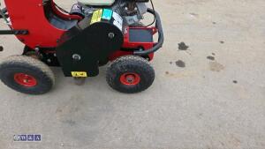 2019 CAMON TC07 petrol turf cutter - 12