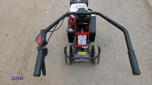 2019 CAMON TC07 petrol turf cutter - 17