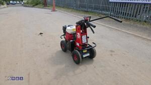 2019 CAMON TC07 petrol turf cutter - 3