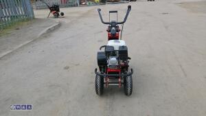 2019 CAMON TC07 petrol turf cutter - 8
