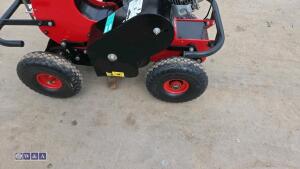 2019 CAMON TC07 petrol turf cutter - 12