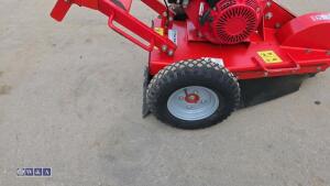2019 TRACKMASTER SG30 petrol stump grinder (s/n 10458) - 10
