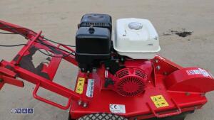 2019 TRACKMASTER SG30 petrol stump grinder (s/n 10458) - 11