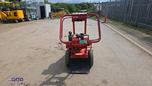 2018 CAMON SG30 petrol stump grinder - 4