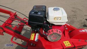 2018 CAMON SG30 petrol stump grinder - 11