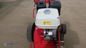 2019 CAMON SG30 petrol stump grinder - 12
