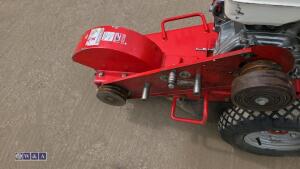 2019 CAMON SG30 petrol stump grinder - 13