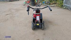 2019 CAMON TC07 petrol turf cutter (s/n 36458) - 4