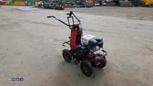 2019 CAMON TC07 petrol turf cutter (s/n 36458) - 7