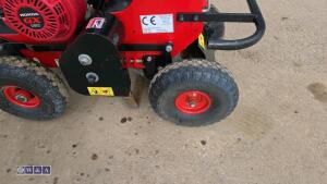2019 CAMON TC07 petrol turf cutter (s/n 36458) - 10