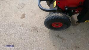 2019 CAMON TC07 petrol turf cutter (s/n 36458) - 11