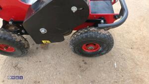 2019 CAMON TC07 petrol turf cutter (s/n 36458) - 12