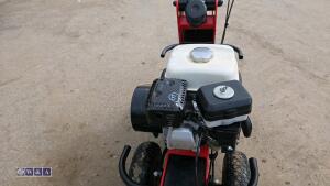 2019 CAMON TC07 petrol turf cutter (s/n 36458) - 16