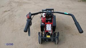 2019 CAMON TC07 petrol turf cutter (s/n 36458) - 19