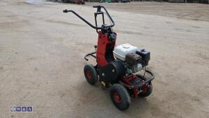 2019 CAMON TC07 petrol turf cutter (s/n 36297) - 7