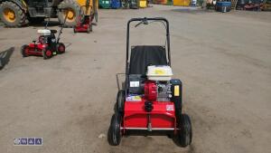 2019 CAMON LS42 petrol scarifier (s/n 64582) - 8