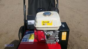 2019 CAMON LS42 petrol scarifier (s/n 64582) - 14