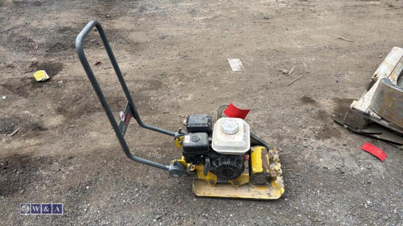 WACKER NEUSON VP1135 petrol compaction plate (3389656)