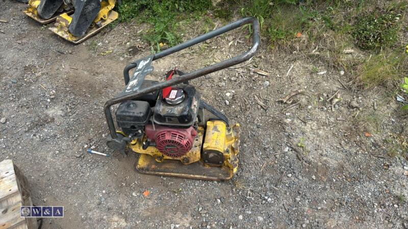 WACKER NEUSON VP1135 petrol compaction plate (3333424)