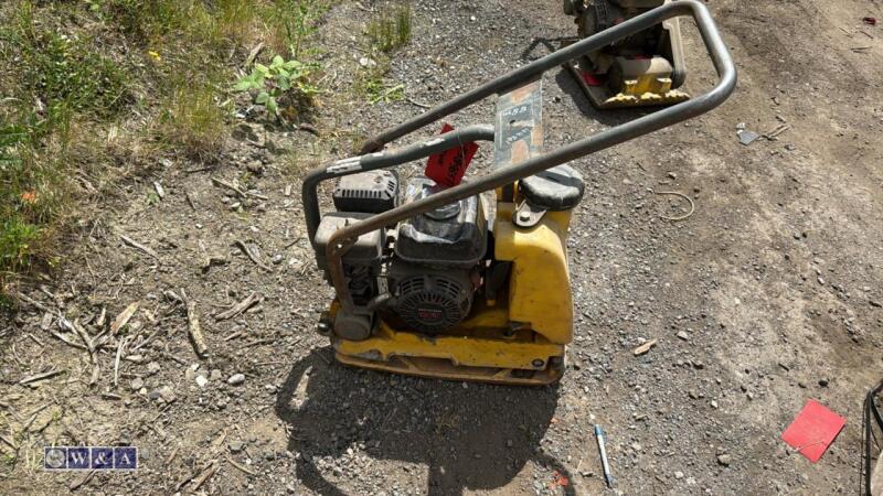 WACKER NEUSON WP1235 petrol compaction plate (3389657)