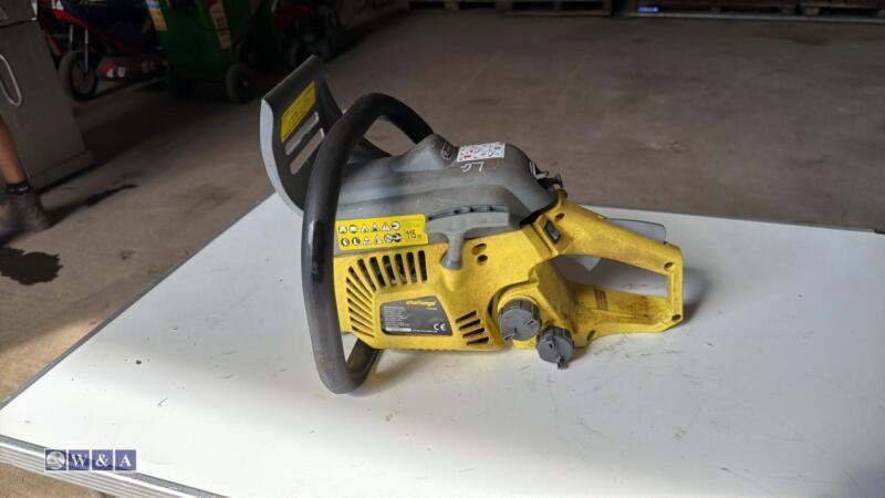 Petrol chainsaw