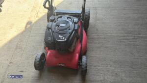 FRISKYFOX petrol rotary mower - 2