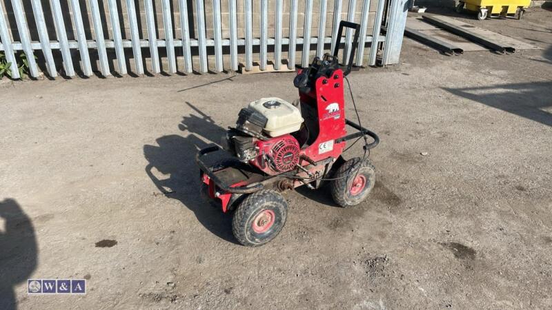 2021 CAMON TC07 petrol turf cutter
