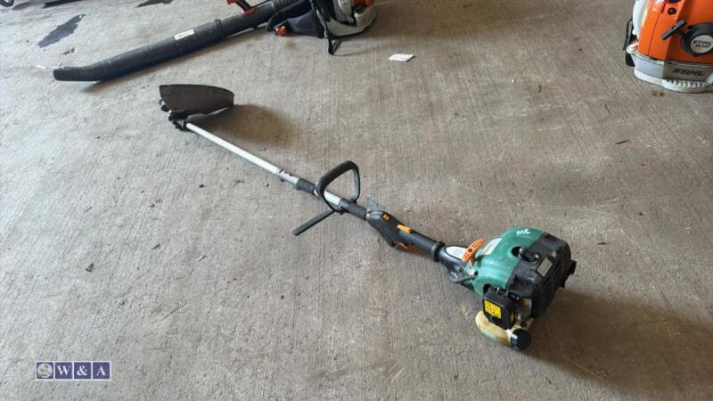 Petrol strimmer