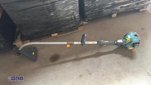 Petrol strimmer