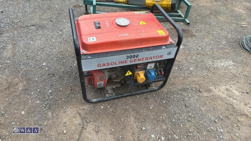 Pertol dual voltage generator
