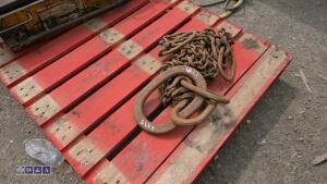 4 leg lifting chain