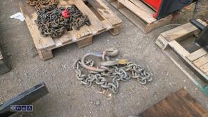 Single leg lifting chain & shortener - 2