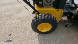 TEXAS HANDY SWEEP 710GTE self propelled petrol sweeper collector - 9